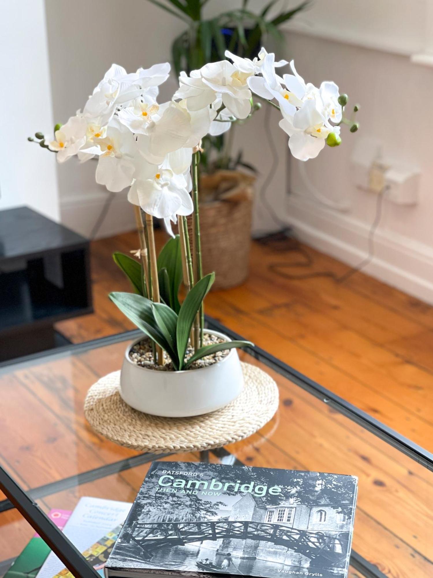 Fantastic Victorian House, Excellent City Location - Cambridge Homehost Buitenkant foto